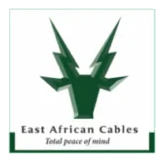 East Africa Cables